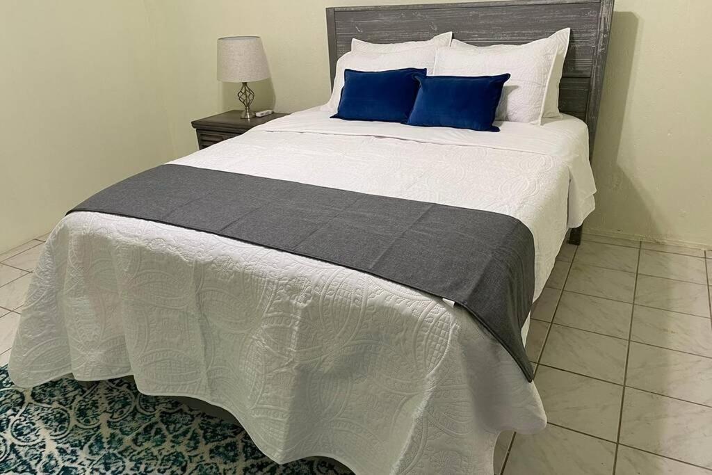 Beautiful Caribbean 3 Bedroom Home In St. Croix Christianted Bagian luar foto